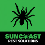 suncoast pest control web design review